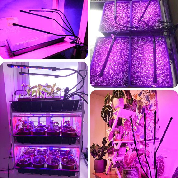 Picture of Grow Lights for Indoor Plants,  80 LEDs Full Spectrum Led Plant Grow Light, 10 Dimming Level & 4 Heads Grow Lamp with Timer 360°