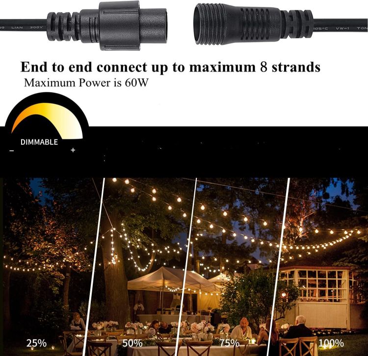 Picture of LED String Lights Remote Control, 25Ft/7.6M Festoon Lights Mains Powered with 12+1 Shatterproof G40 Bulbs