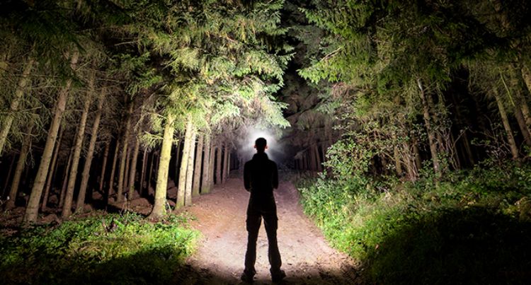 motion sensor headlamp
