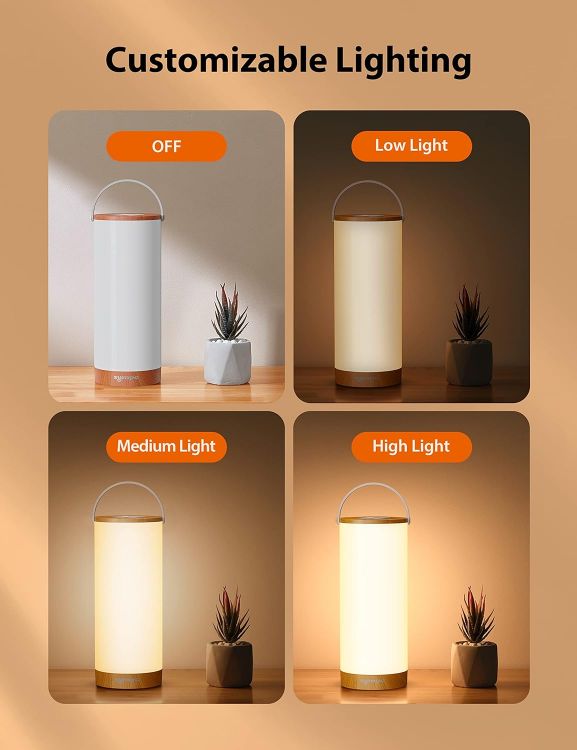 Picture of Table Lamp, Bedside Lamps with RGB Mode, Touch Control & Memory Function, Outdoor Lanterns for Party Outside Garden Bedroom Living Room