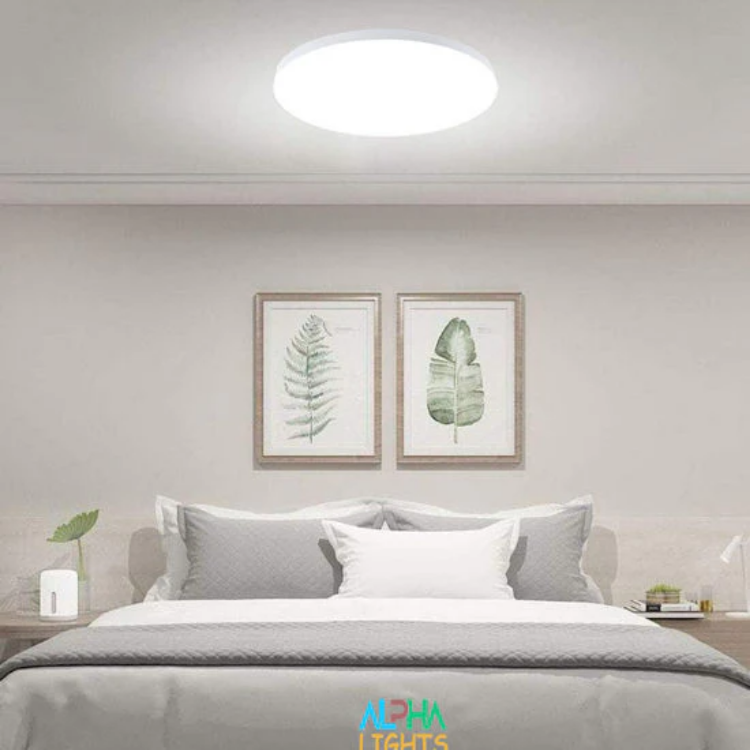 Flush mount LED ceiling lamp for kitchen and bedroom
