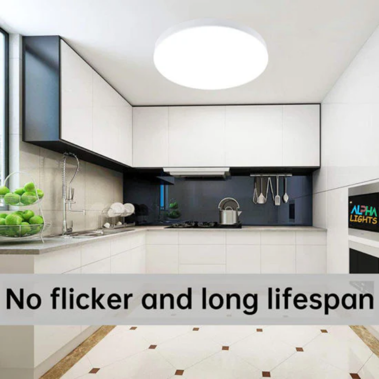 LED ceiling light 85–265V wide voltage indoor lighting