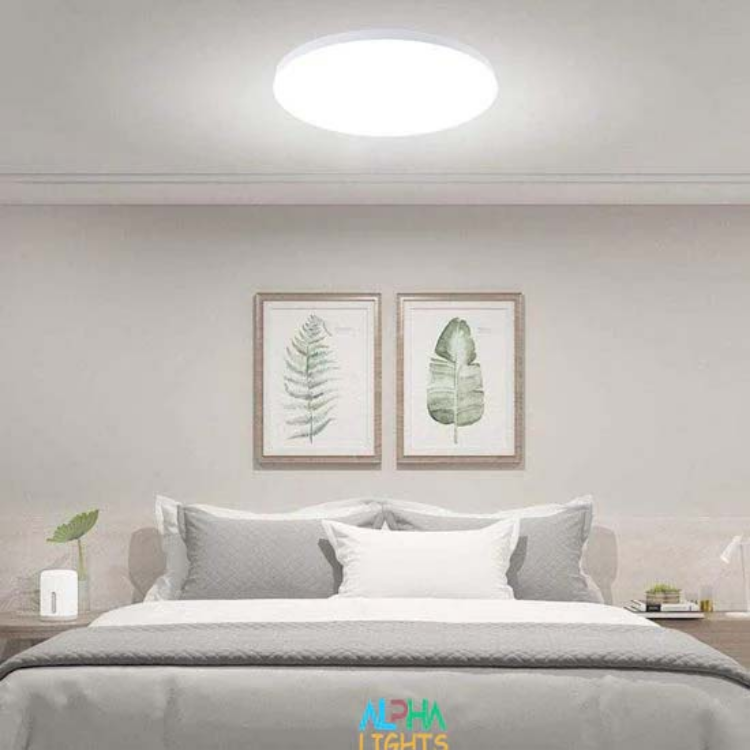 Bright 13W LED ceiling light for bedroom and corridor