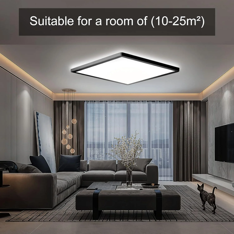 Ultra-Thin 2.5 cm Flush Mount LED Ceiling Lamp