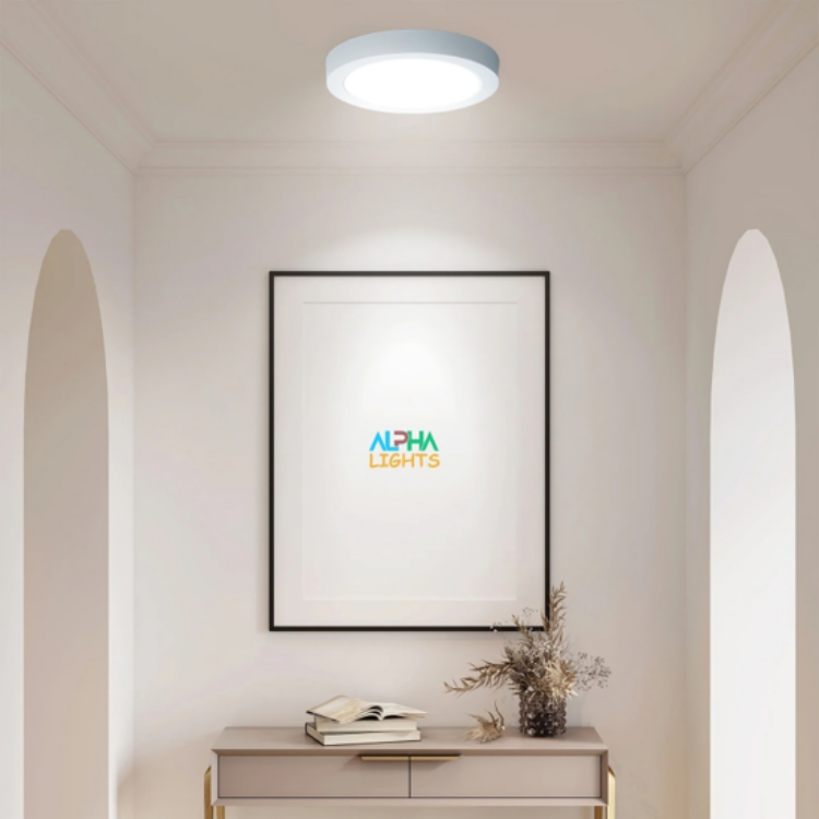 Flicker-Free Cool White LED Ceiling Light for Living Room