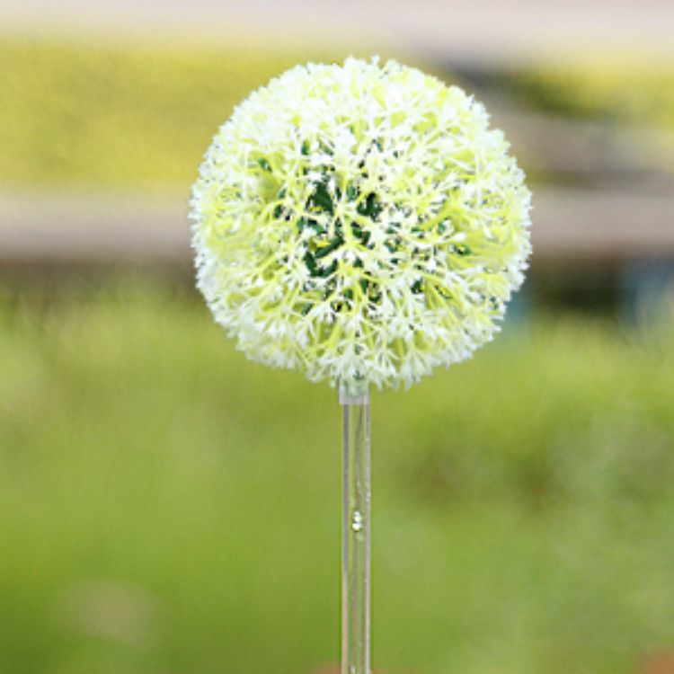 Picture of Outdoor Garden Stake Light - Solar Powered, IP65 Waterproof, Decorative dandelion Light, 4 Pack