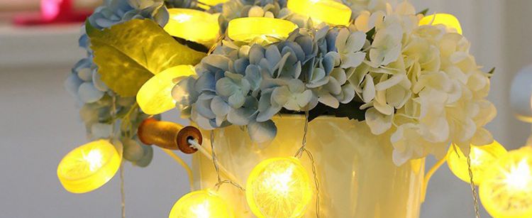 Outdoor lemon string lights warm white with remote control