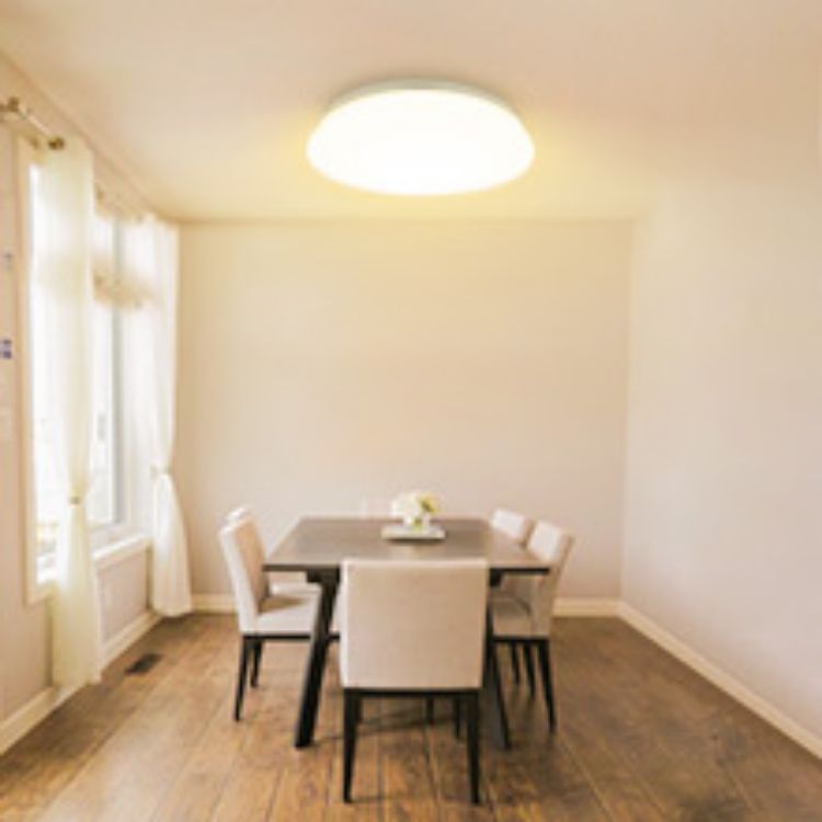 Slim Modern LED Ceiling Light for Low Ceilings