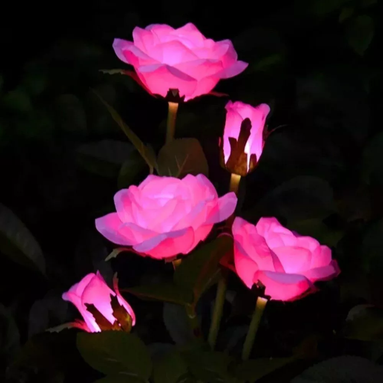 Picture of 5 LED Rose Flower Stake Solar Lights -  IP65 Waterproof, 600mAh Rechargeable Battery, Solar Powered