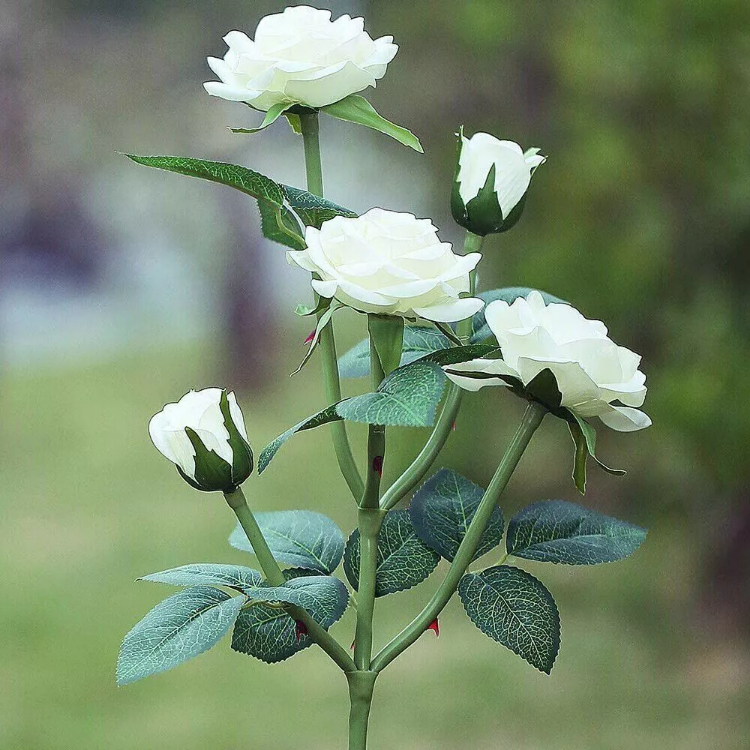 Picture of 5 LED Rose Flower Stake Solar Lights -  IP65 Waterproof, 600mAh Rechargeable Battery, Solar Powered