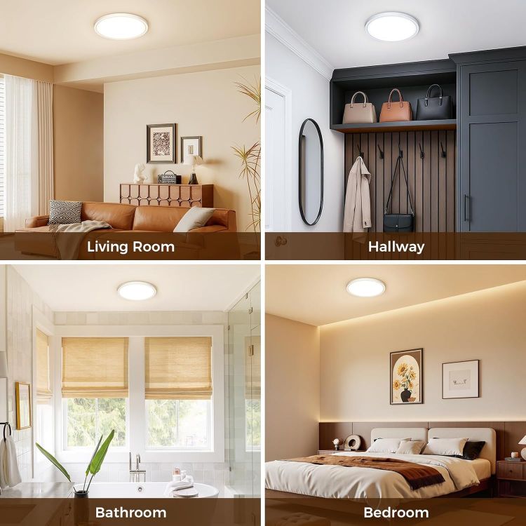 Flush Mount LED Ceiling Light with Remote Control Dimming