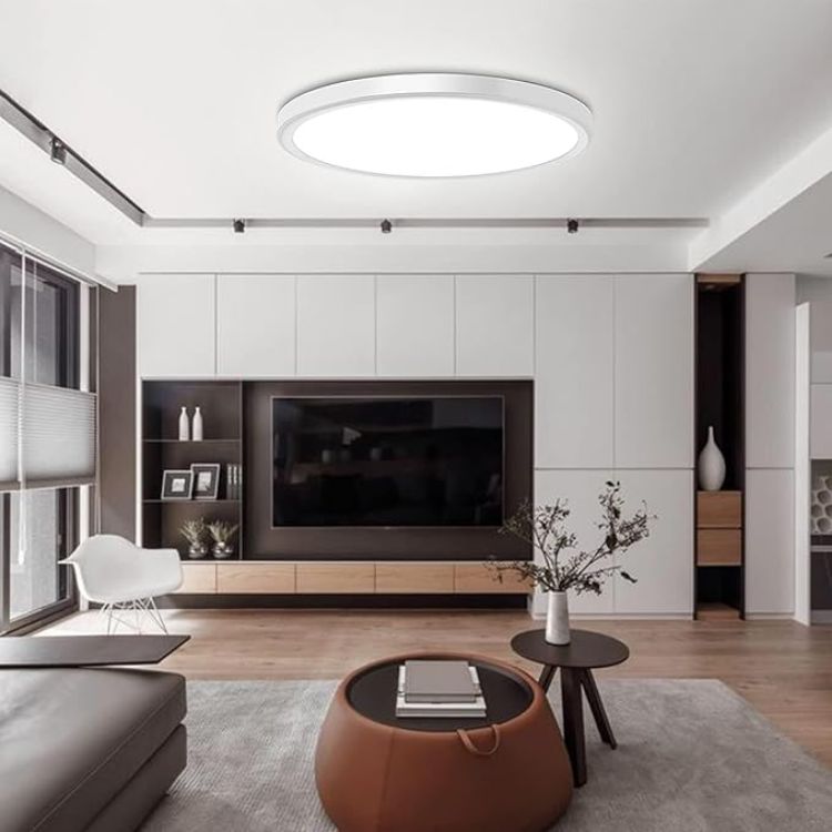 Energy Saving 24W Ceiling Light for Bedroom and Hallway