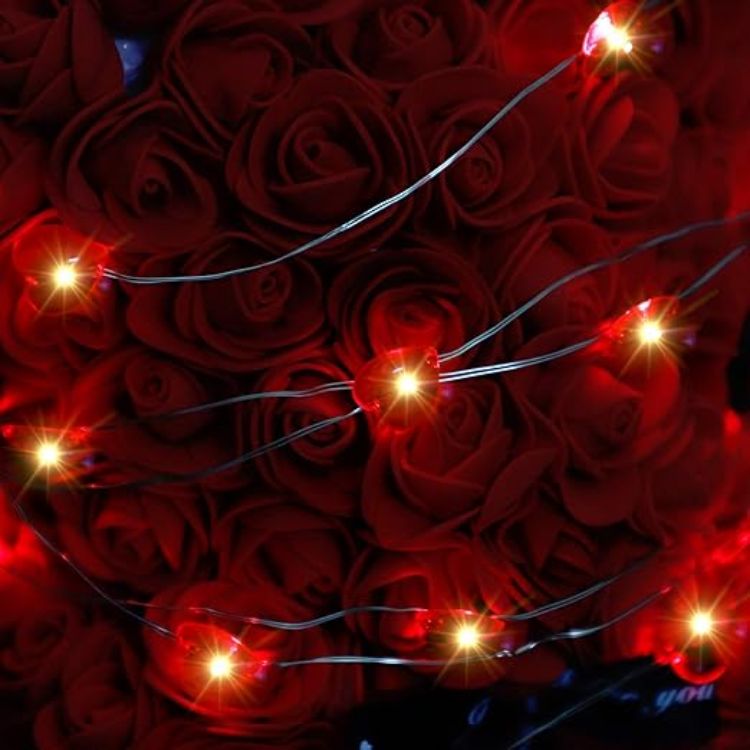 Decorative LED lights for wedding, Valentine’s Day and party decoration