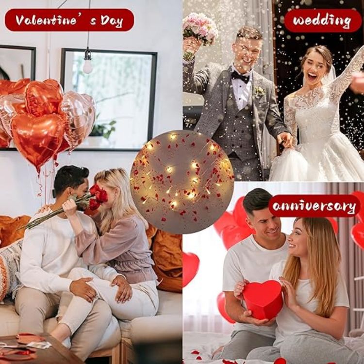 Decorative LED lights for anniversary and wedding romantic ambience