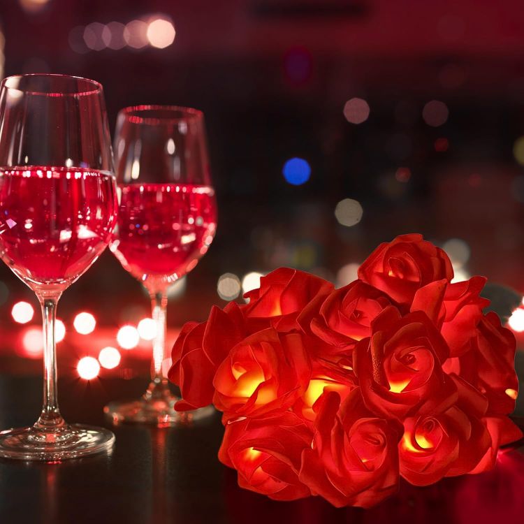 LED red rose fairy string lights