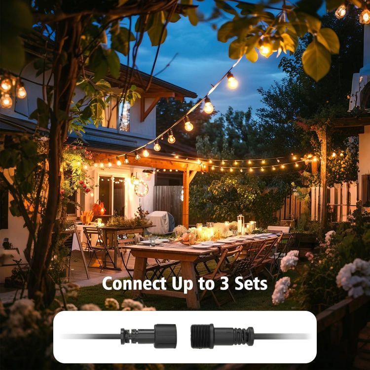 Outdoor festoon lights used for garden party decoration