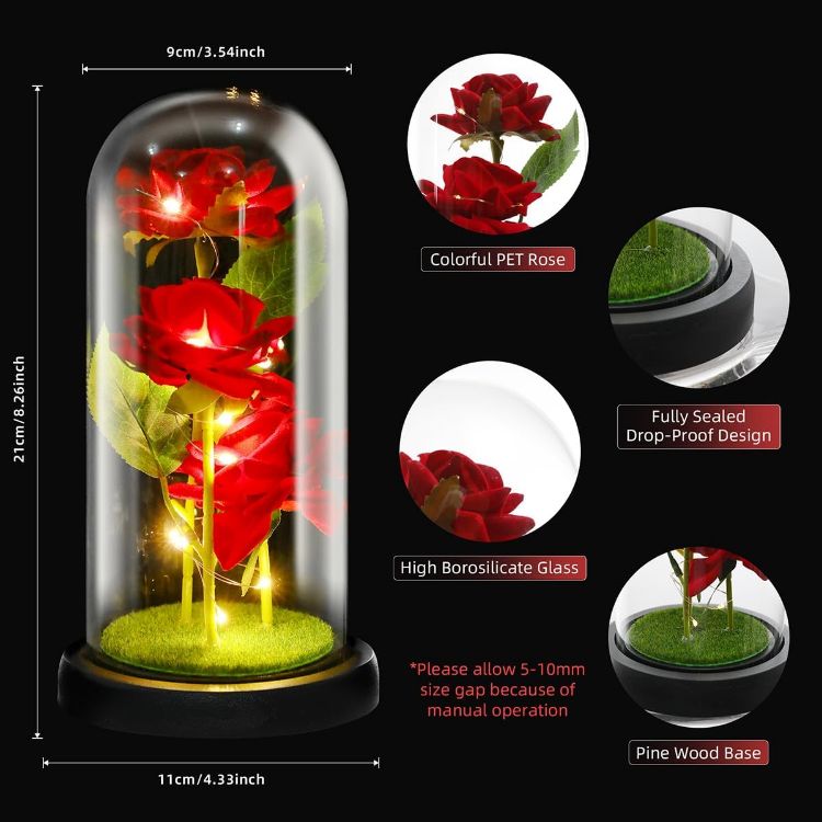 Romantic three rainbow roses in glass dome creating sweet atmosphere for Valentine's Day celebration