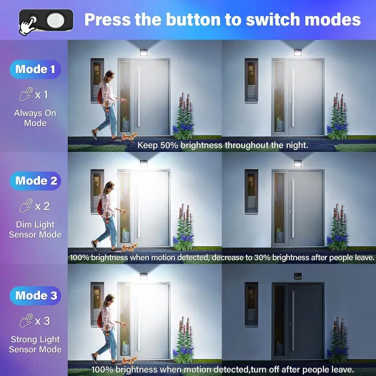 Solar Wall Light with Motion Detection