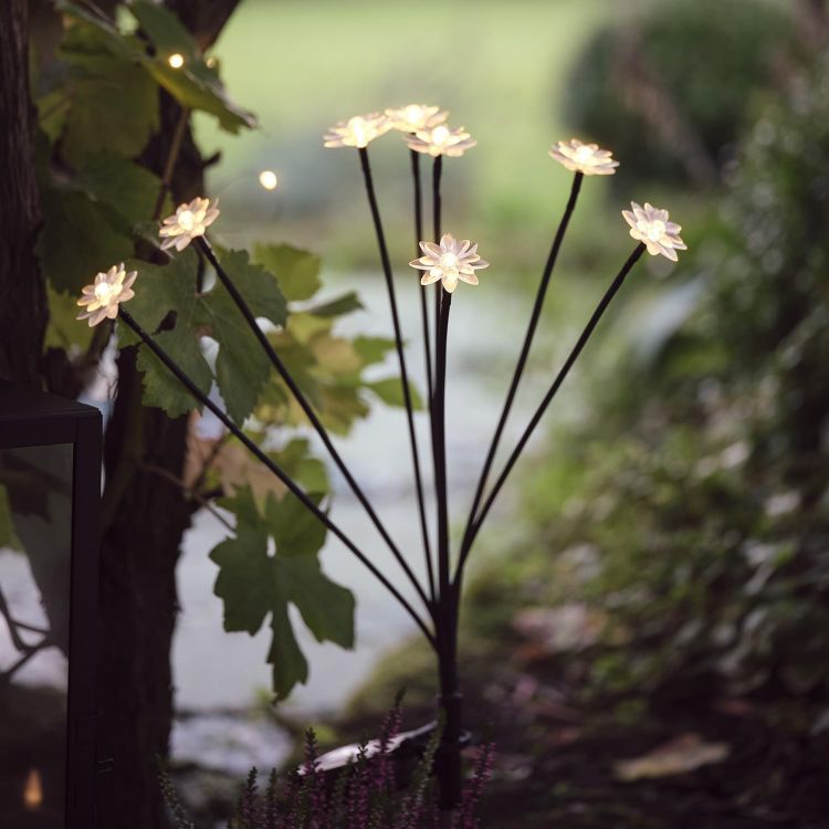 solar powered garden pathway lights