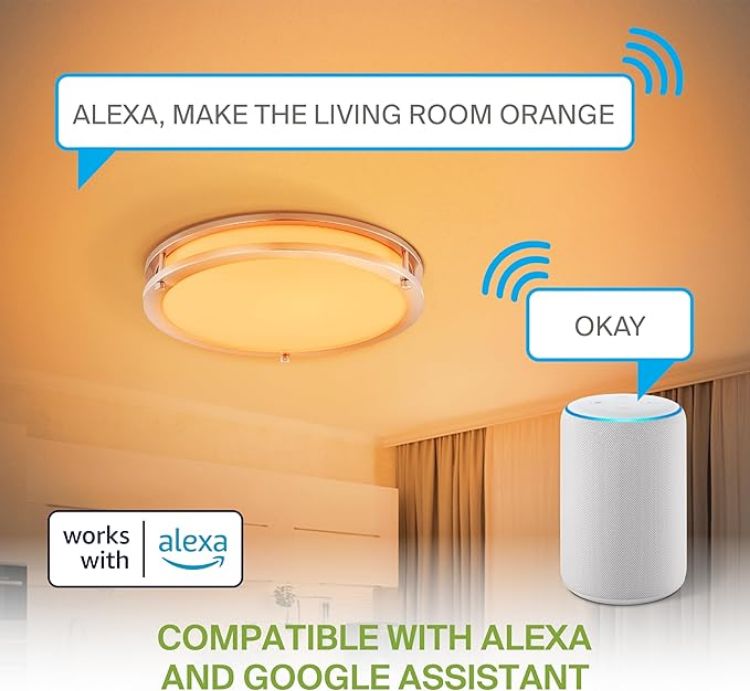 Picture of LED 18" Round Flush Mount Lighting, Close to Ceiling Light Fixture | Smart, Multicolor, Dimmable, ETL Listed | 28W 1844LM RGB-2700-6500K 120V | Low Profile Double Ring Lamp | Nickel