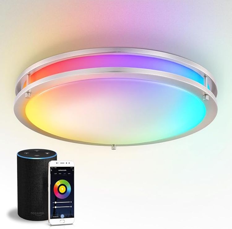 Picture of LED 18" Round Flush Mount Lighting, Close to Ceiling Light Fixture | Smart, Multicolor, Dimmable, ETL Listed | 28W 1844LM RGB-2700-6500K 120V | Low Profile Double Ring Lamp | Nickel