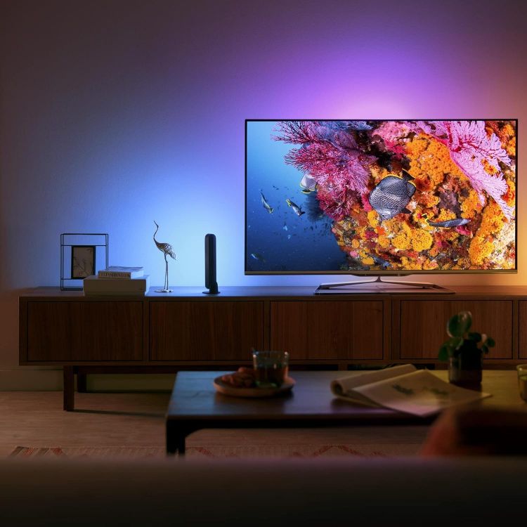 Picture of Play White and Colour Ambiance Smart Light Bar Double Pack Base Unit, Entertainment Lighting for TV and Gaming (Works with Alexa, Google Assistant and Apple HomeKit), Black [Energy Class G]