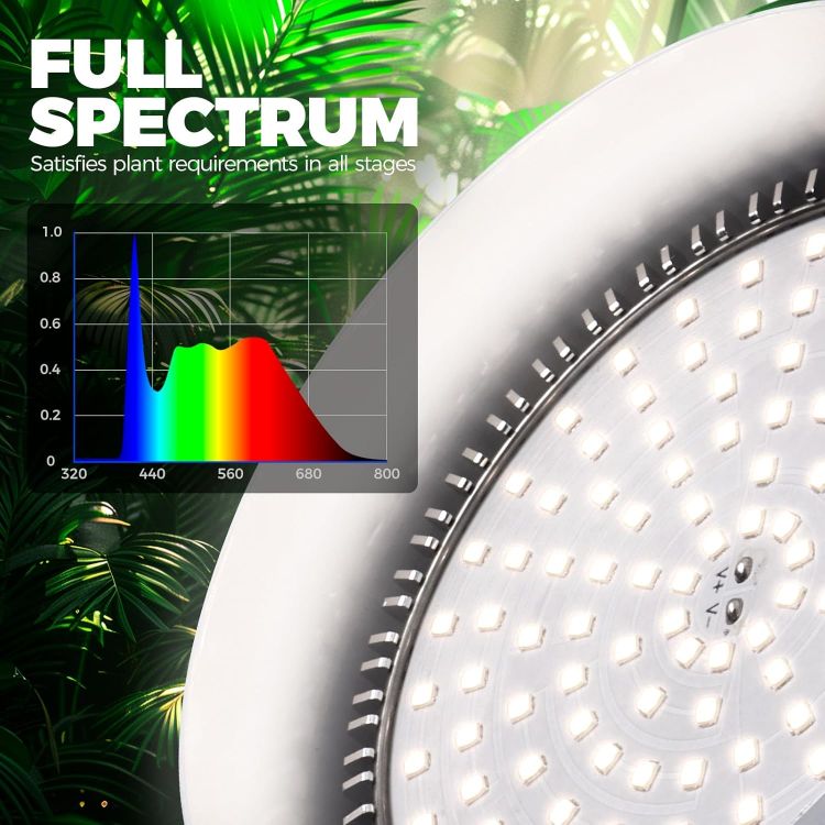 Picture of Grow Light Bulb with Timing and Hanging System 25W Full Spectrum LED Grow Lamp – 4H/9H/14H Timer Indoor Plant Light for Seedlings, Succulents, Cactus, Blooming and Fruiting