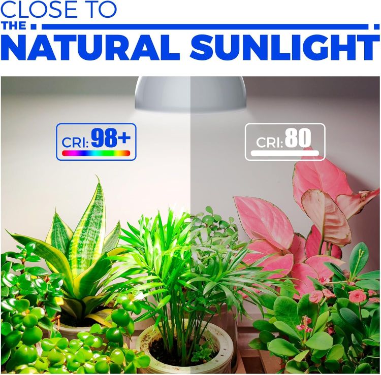 Picture of Grow Light Bulb with Timing and Hanging System 25W Full Spectrum LED Grow Lamp – 4H/9H/14H Timer Indoor Plant Light for Seedlings, Succulents, Cactus, Blooming and Fruiting