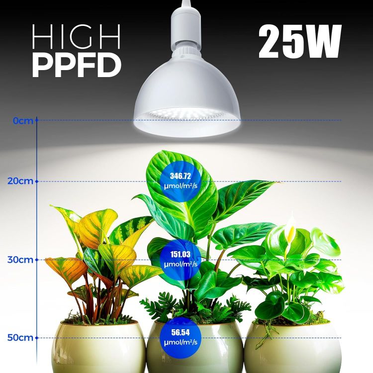 Picture of Grow Light Bulb with Timing and Hanging System 25W Full Spectrum LED Grow Lamp – 4H/9H/14H Timer Indoor Plant Light for Seedlings, Succulents, Cactus, Blooming and Fruiting