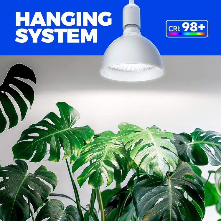 Picture of Grow Light Bulb with Timing and Hanging System 25W Full Spectrum LED Grow Lamp – 4H/9H/14H Timer Indoor Plant Light for Seedlings, Succulents, Cactus, Blooming and Fruiting