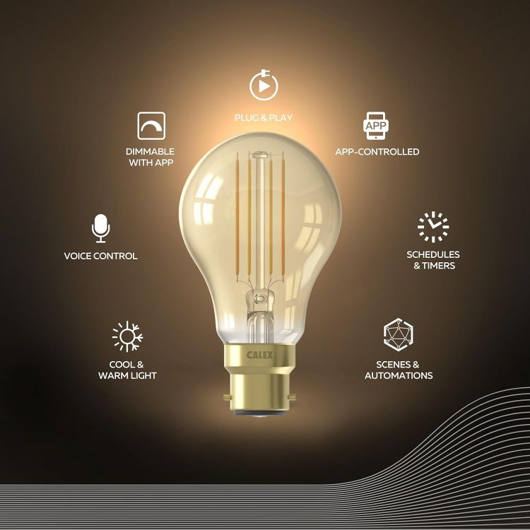 Picture of Smart Filament Bulb B22 Bayonet WiFi LED A60 Bulb Warm White Light Gold App and Works with Amazon Alexa and Google Home 7W [Energy Class E]