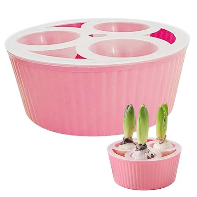 Picture of Bulb Planter, 3-Hole Hydroponic Pots for Hyacinth & Daffodil Bulbs Smart Water Level & Anti-Tip Reusable Indoor Planter for Easy Flower Growing