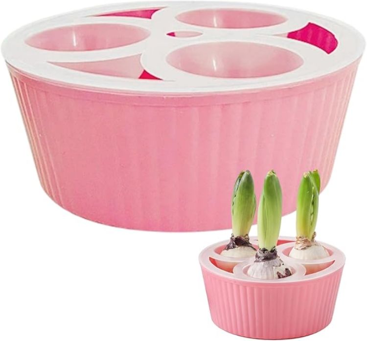 Picture of Bulb Planter, 3-Hole Hydroponic Pots for Hyacinth & Daffodil Bulbs Smart Water Level & Anti-Tip Reusable Indoor Planter for Easy Flower Growing - Flower Bulbs