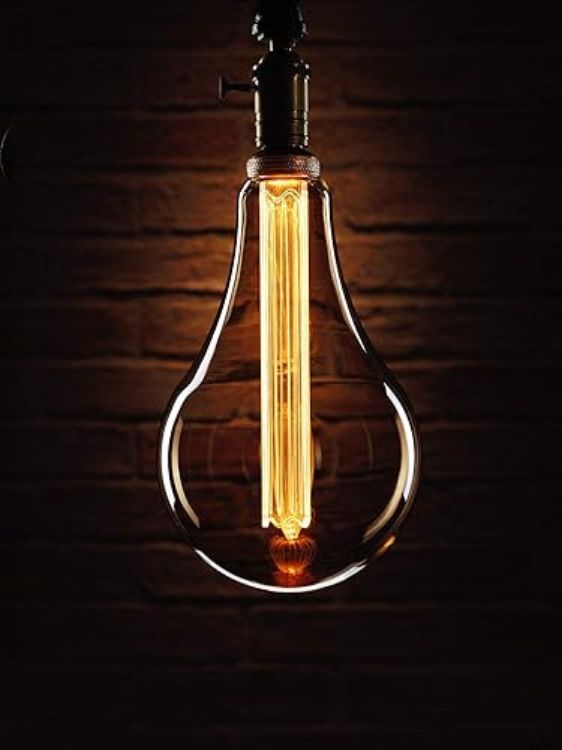 Picture of Mysa LED Light Bulb – Vintage Retro Rustic Edison Style Decorative Energy Efficient Filament E27 Screw S165 Globe Shape XXL