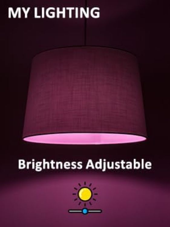 Picture of B22 RGB LED Bulbs 24 Pack ECO Series 10W Remote Dimmable 6000K