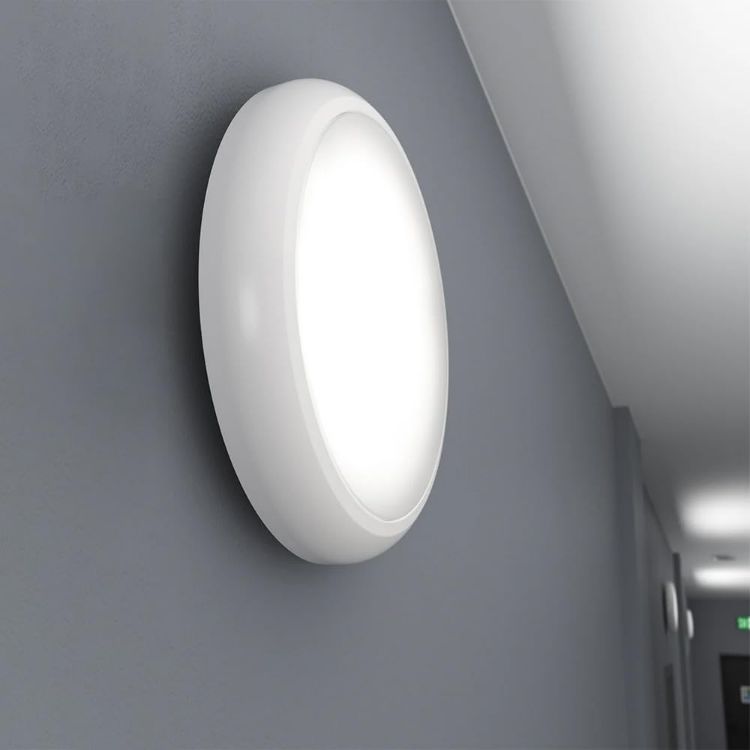 Picture of LED Slimline 2D Bulkhead IP65 Emergency Ceiling Wall Light