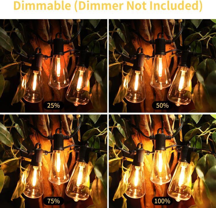 Picture of 50Ft Outdoor Garden String Lights Mains Powered, ST38 Waterproof IP65 LED String Lights, Warm White Patio Festoon Lights for Backyard, Bistro, Café, Party, Wedding, 22Pcs Vintage Bulbs